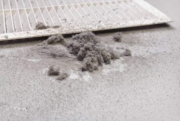 Best Air Duct Sanitizing Services  in Dallas Center, IA