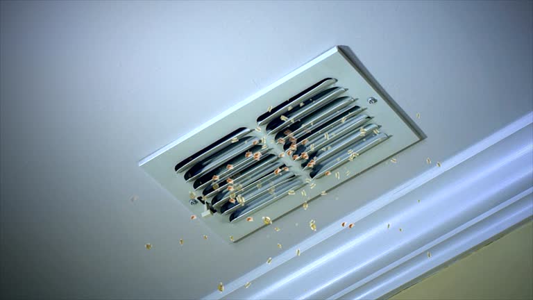 Best Commercial HVAC Duct Cleaning  in Dallas Center, IA