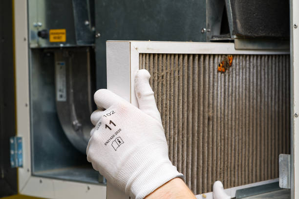 Best HVAC System Cleaning  in Dallas Center, IA