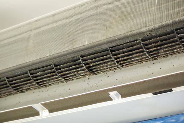 Best Commercial Air Duct Cleaning  in Dallas Center, IA